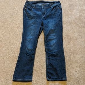Wallflower Dark Blue Boot Cut Jeans